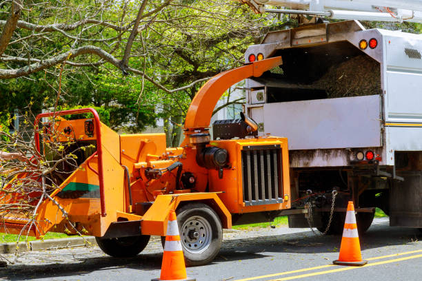 Seasonal Cleanup (Spring/Fall) in Ashland, NE