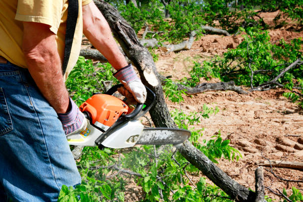 Lawn Watering Services in Ashland, NE
